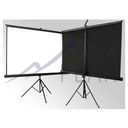 Projection Screen 60&quot;